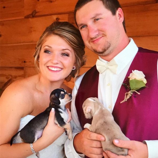 bridesmaids walked down the aisle carrying puppies