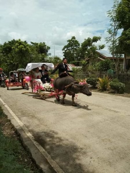 Newlyweds Riding a Carabao-Drawn Carriage Become Internet Stars as ...
